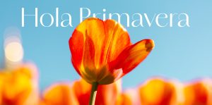floristeria en sevilla. Envio de flores a domicilio